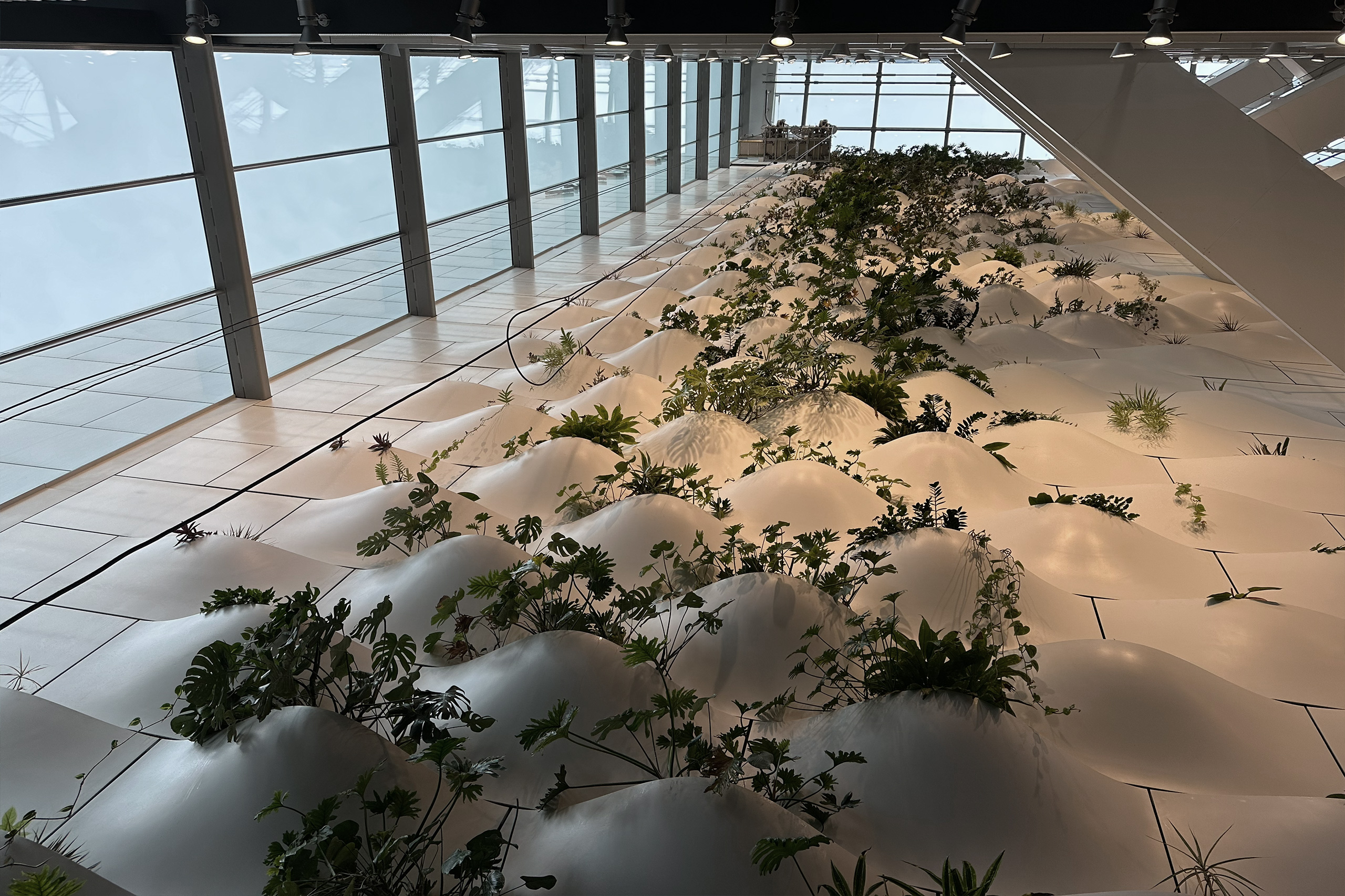 Featured irrigation and lighting project by Boss & Hoss in Calgary